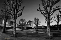 nuit quintin14_12_14n01